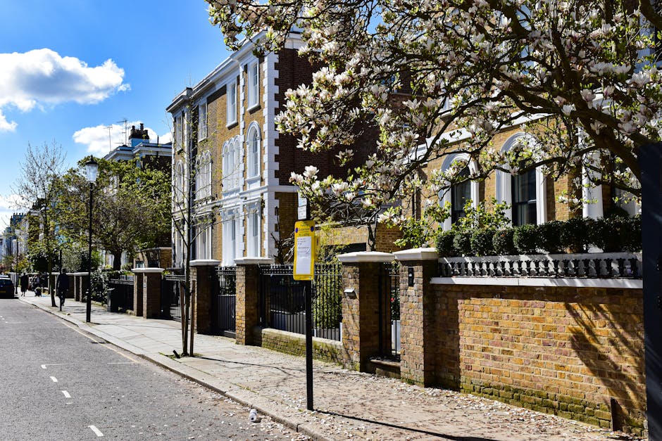 A residential street scene in Maida Vale featuring Victorian-style brick houses with white decorative trim and black wrought iron fences. In the foreground, a cherry blossom tree in full bloom with pink and white flowers extends over the pavement, partially obscuring the view of the houses. The street has evenly spaced lampposts along the sidewalk, which is lined with young, leafless trees. The sky is mostly clear with a few clouds, and sunlight illuminates the scene. Although no moving equipment or furniture is visible, the image depicts an area where house removals and furniture transport could take place, with the entrance gates and surrounding environment suggesting a setting suitable for home relocation services provided by Man and Van Maida Vale.