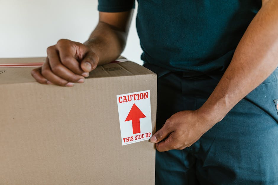 A man with dark, curly hair and a beard, dressed in casual clothing including a blue t-shirt with a logo on the chest and dark pants, is inside a bright, spacious room with white walls and wooden flooring. He is holding a cardboard box wrapped with a red plastic strap, preparing to place it on top of another box on the floor, indicating an ongoing packing or home relocation process. Behind him, there is a large arched window allowing natural light to illuminate the space. The room appears empty aside from the moving boxes, suggesting a furniture transport or packing and moving service. This scene illustrates the manual handling aspect of residential moves handled by companies like Man and Van Maida Vale, which assist with furniture transport and packing logistics during house removals, in line with Westminster Council moving rules and Maida Vale relocation fees.